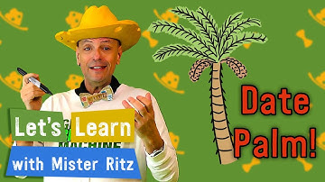 Learn to Draw a Date Palm🌴 | Directed Drawing | Let