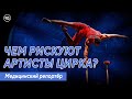 Чем рискуют артисты цирка? Медицинский репортёр