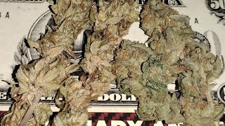 John Dough (LAH JOHNDOUGH710) is live! THE SMOKE SHOW PT.2 COME ONE COME aLL WE RIGHT BaCK aT IT