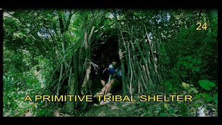 Primitive tribal shelter. Used dead branches only. An asian in european jungles. video no. 25