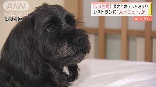 犬向けメニューも充実　都心ホテルに愛犬とお泊まり(2022年2月24日)