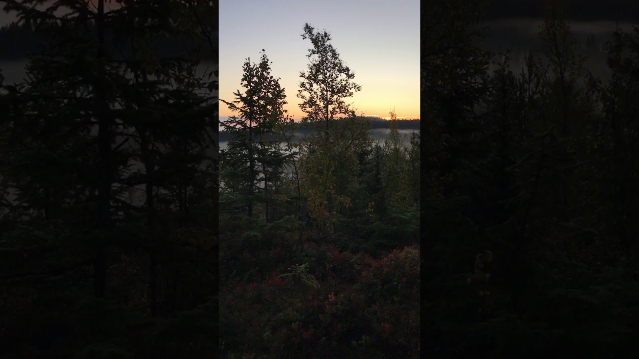 Early morning hunt with the Winchester 94 Big Bore in 356 Win