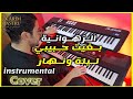 من روائع الشابة الزهوانية بغيت حبيبي ليلة ونهار موسيقى صامتة Ezzahouania Instrumental 
