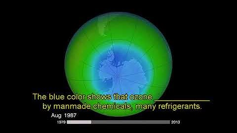 interchange 3  unit 7  video 7