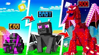 Evolving BABY DRAGON to GOD DRAGON in Minecraft