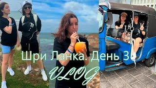 Шри ланка. День 3. Встреча с обезьянками, варанами. Катание на лодке. Поход в приют для черепашек.