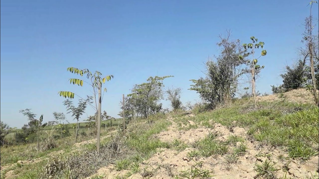 ESE MD 4030 EO MELHOR DO BRASIL