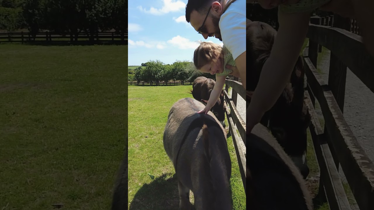 Heligan Moments - sit back and enjoy another week at The Lost Gardens of Heligan