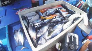PESTA STRIKE DI PULAU BIARO|| DAY 2