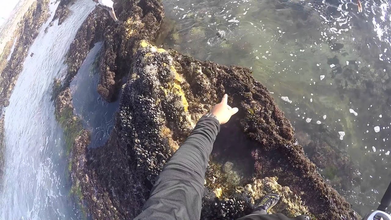 Pocket Fishing The point - YouTube