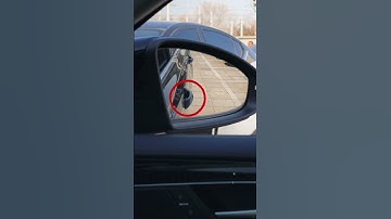 How to adjust the rearview mirror correctly?#driving #skills #tips #knowledge #fpy