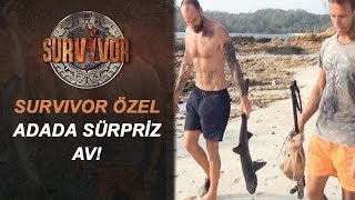 Survivor Adasında Sürpriz Av! | Survivor Özel Resimi