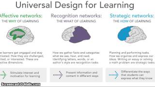 UDL 3 principles