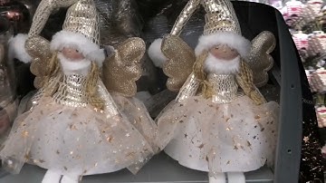TUIN KERSTSHOW 2025  ZWAAGWESTEINDE WESTEREEN BERT VAN DER WAL VIDEO