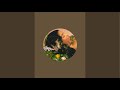 AlCiMi SHANi is live! - chill study vibes