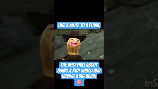 Like A Moth To A Flame