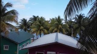 Cobia Beach Guest House, Hopkins, Belize, Caribbean Beachfront.
