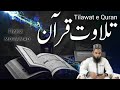 Tilawat e quran  hafiz mohammed sahab tilawatequran  masjid e imam ahmad raza  jumma