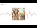 Adam's Lessons: My Dog, My Guru
