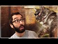MY CAT IS A NINJA | March 2021