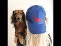 「絶対に笑う」あり得ないことをする犬★おもしろい犬のハプニング, 失敗画像集 #20