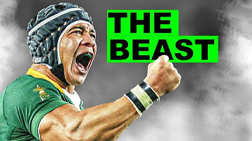 Springboks rugby wing : Cheslin Kolbe