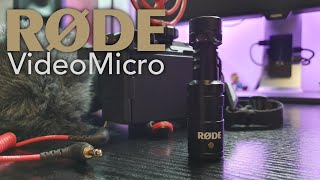 RØDE VideoMicro 📷🎤 mon microphone top moumoute !