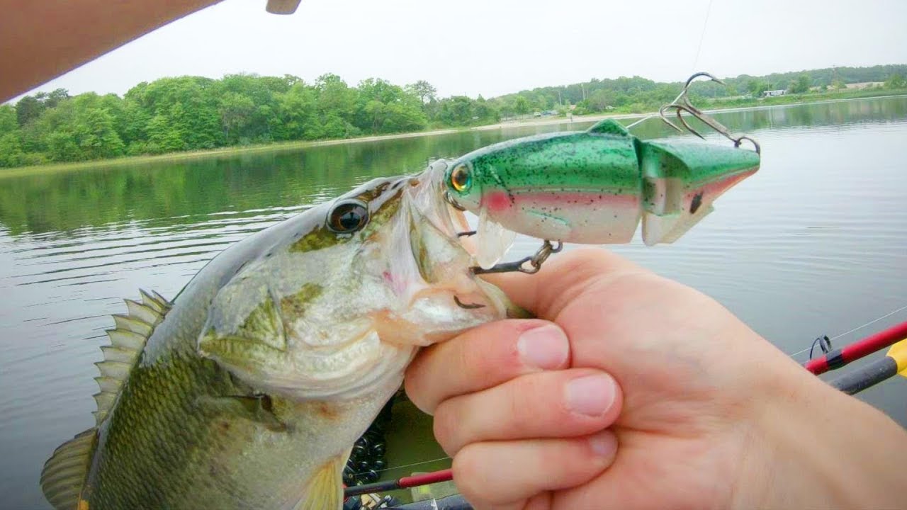 SWIMBAIT Bass with Shimano Curado K ** First IMPRESSIONS and TESTING on the WATER **