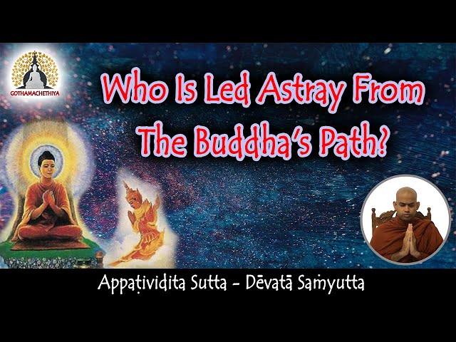 Who is Led Astray from the Buddha's Path? | Wisdom in Theravada Buddhism