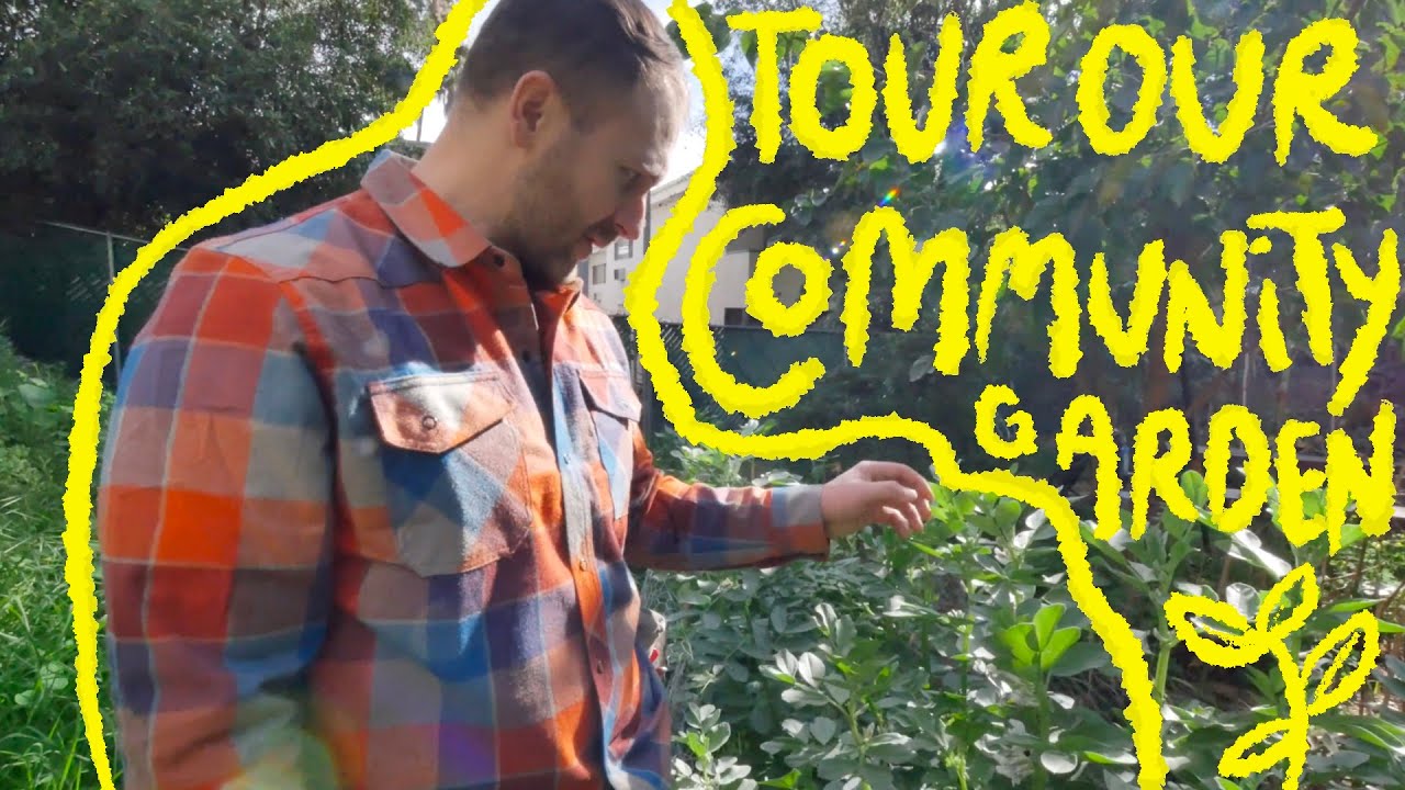Tour Our Community Permaculture Garden in Los Angeles — The BirdHouse