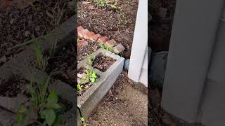 Flipped House Fails: Hidden Water Damage and Painted Over Problems