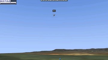 Realflight autorotation.(trex 550)..(I