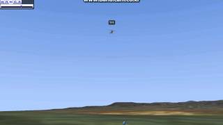 Realflight autorotation.(trex 550)..(I'm beginner...)