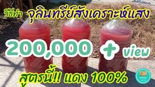 วิธีทำจุลินทรีย์สังเคราะห์แสง สูตรนี้!! แดง 100% เผยเคล็ดลับในคลิป | ผักปลอดสารพิษบ้านน้องปลายฝน