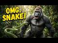 Watch This Gorilla Get Scared by a Snake 😂