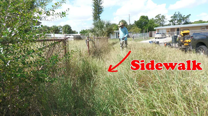 SIDEWALK haven't been cleaned in years and is completely BLOCKED off from OVERGROWTH