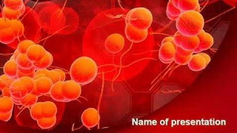 Blood Cells PowerPoint Template by PoweredTemplate.com