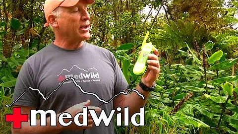 Search and Rescue: Personal Locator Beacons (PLBs)