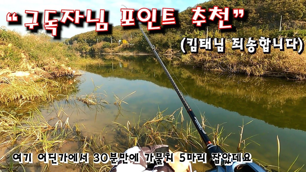 (ep.53 배스낚시) 구독자님께서 추천해주셨는데요 미션 어종이 가물치... 하하하 bassfishing
