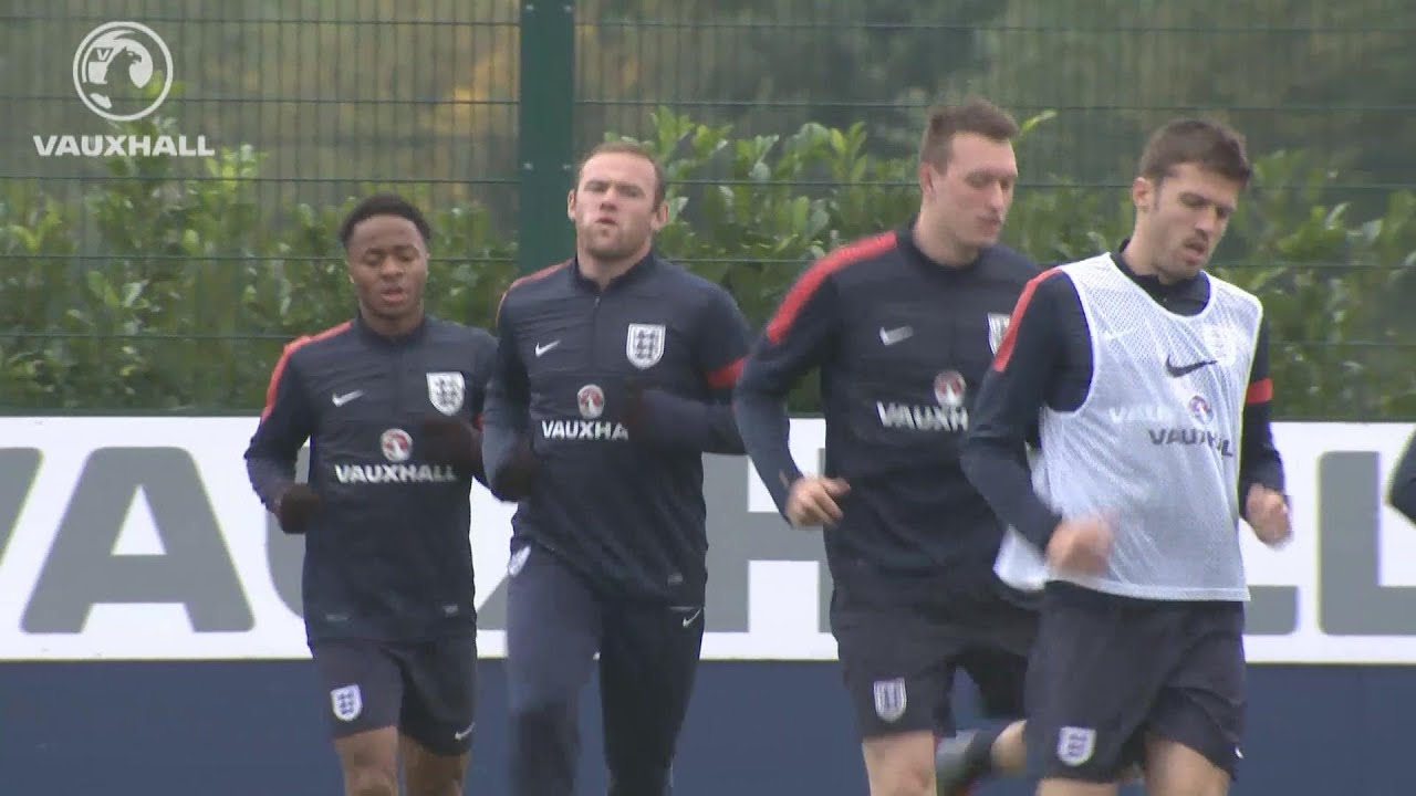 steph houghton injury 