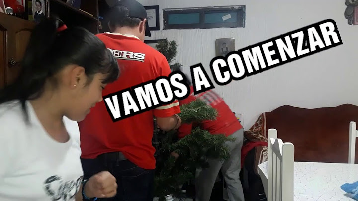 Pusimos mi árbol de navidad.