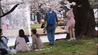 Windy Dress in Japanese Park