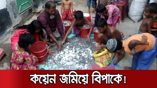 ১০ বছর ধরে ৬ মণ কয়েন সংগ্রহ! সেটাই এখন গলার কাঁটা!! | Coin Trouble