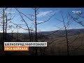 Охрана Байкала приводит к его уничтожению | Сибирь.Реалии