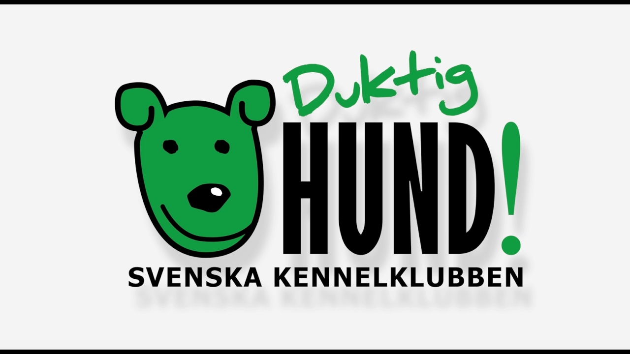 Om Duktig hund!