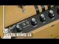 Supro Delta King 12 Demo