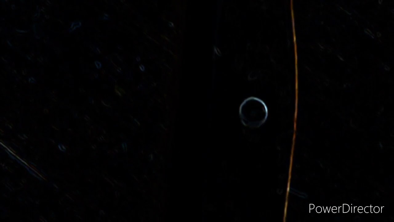 Classic Vegetable Cuts