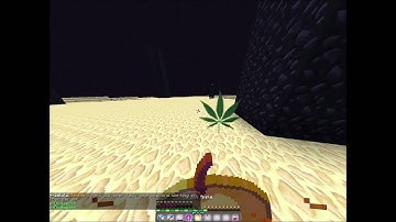 Hacker on Faction Orange.