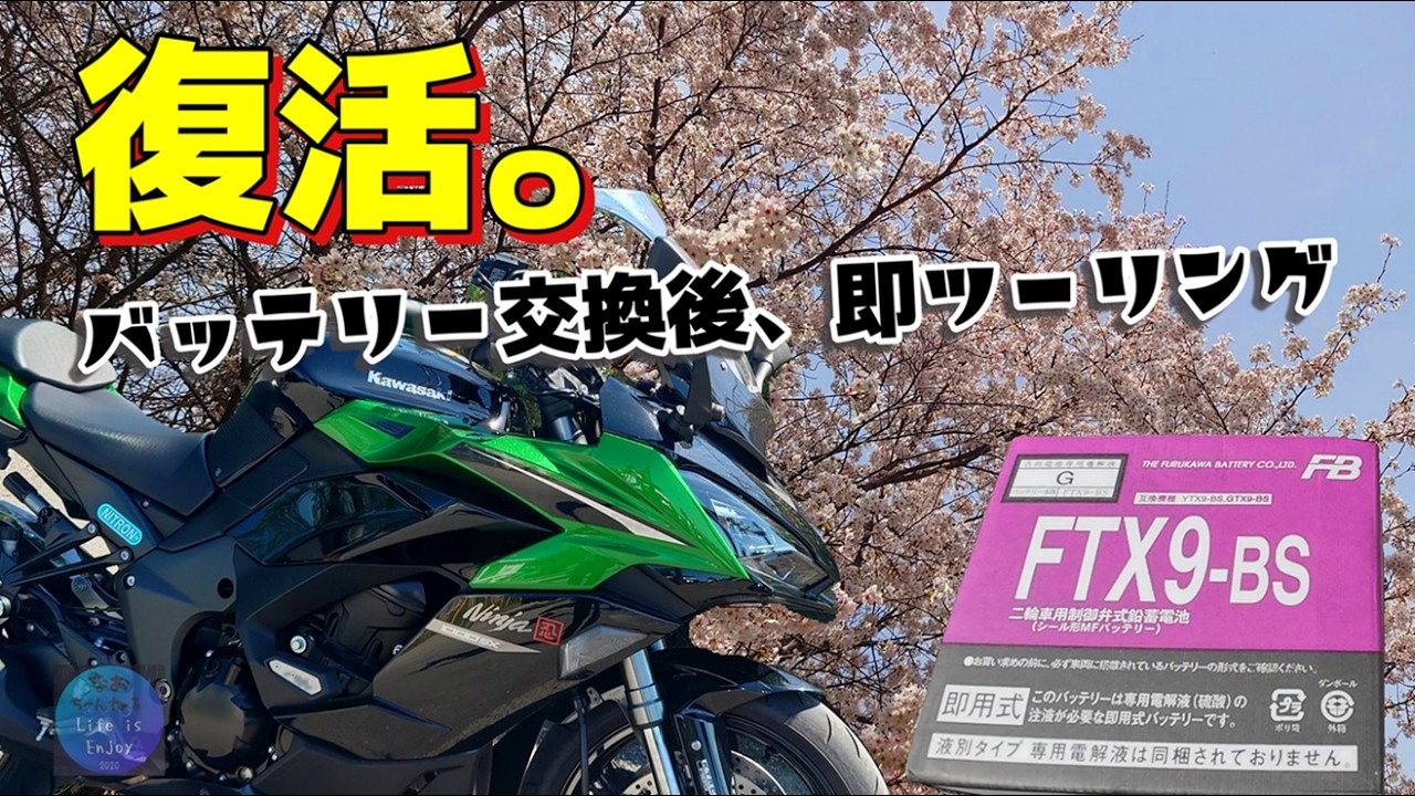 A cherry blossom viewing ride after changing the battery on my