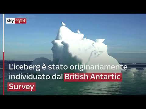 Video: Un Anno Fa, Un Enorme Iceberg Si Staccò Dall'Antartide. Cosa Gli è Successo In Questo Periodo? - Visualizzazione Alternativa